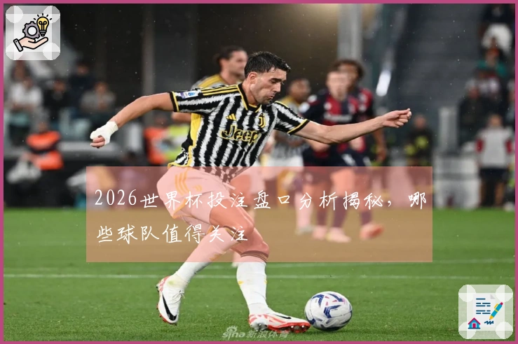 2026世界杯投注盘口分析揭秘，哪些球队值得关注