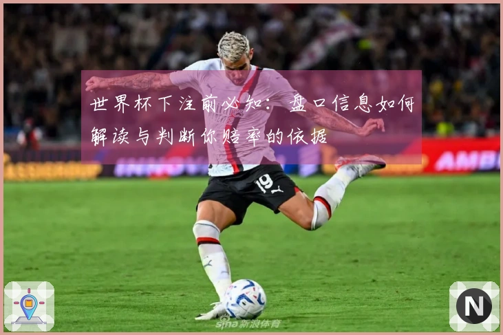世界杯下注前必知：盘口信息如何解读与判断你赔率的依据
