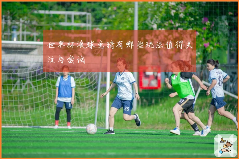 世界杯滚球竞猜有哪些玩法值得关注与尝试