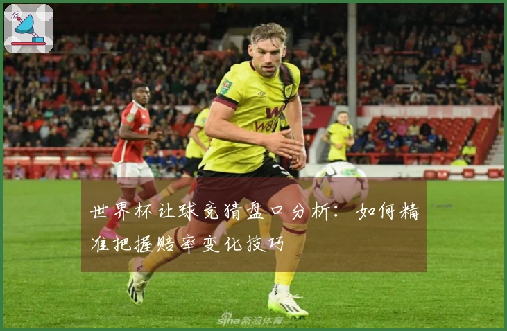 世界杯让球竞猜盘口分析：如何精准把握赔率变化技巧