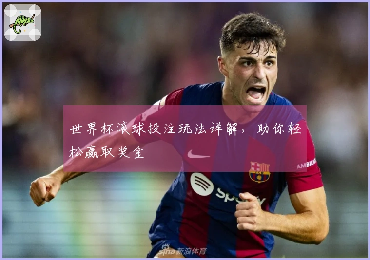 世界杯滚球投注玩法详解，助你轻松赢取奖金