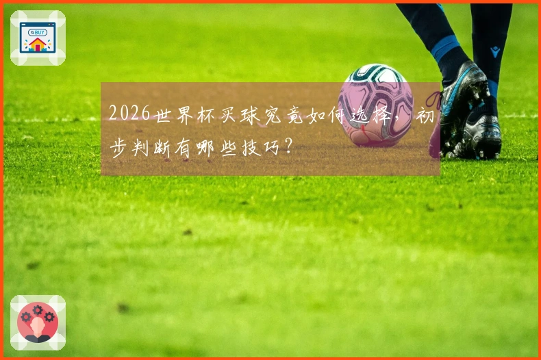 2026世界杯买球究竟如何选择，初步判断有哪些技巧？