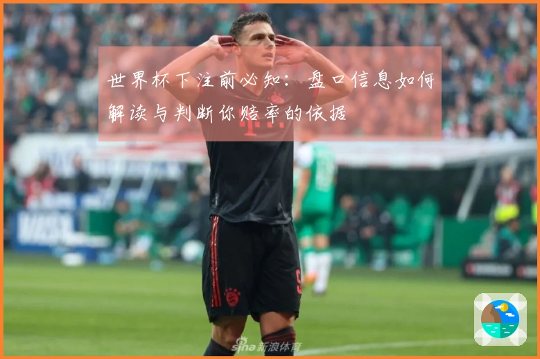 世界杯下注前必知：盘口信息如何解读与判断你赔率的依据