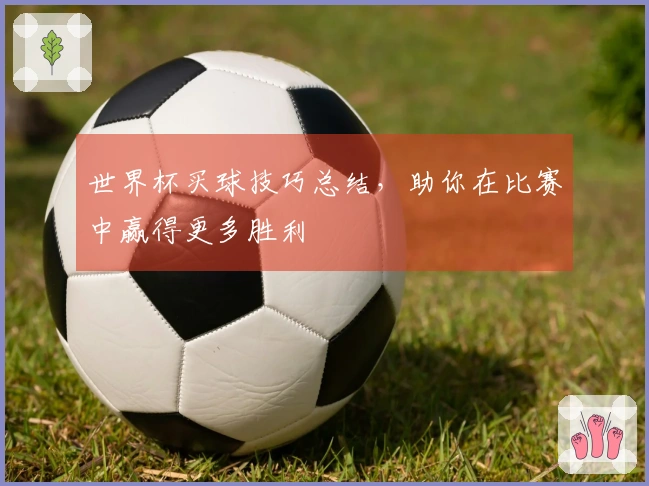 世界杯买球技巧总结，助你在比赛中赢得更多胜利