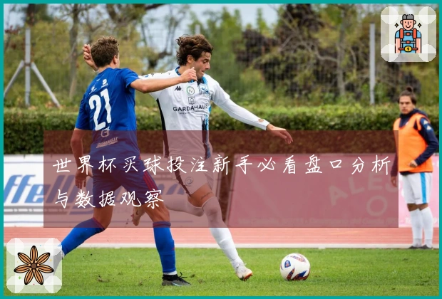 世界杯买球投注新手必看盘口分析与数据观察